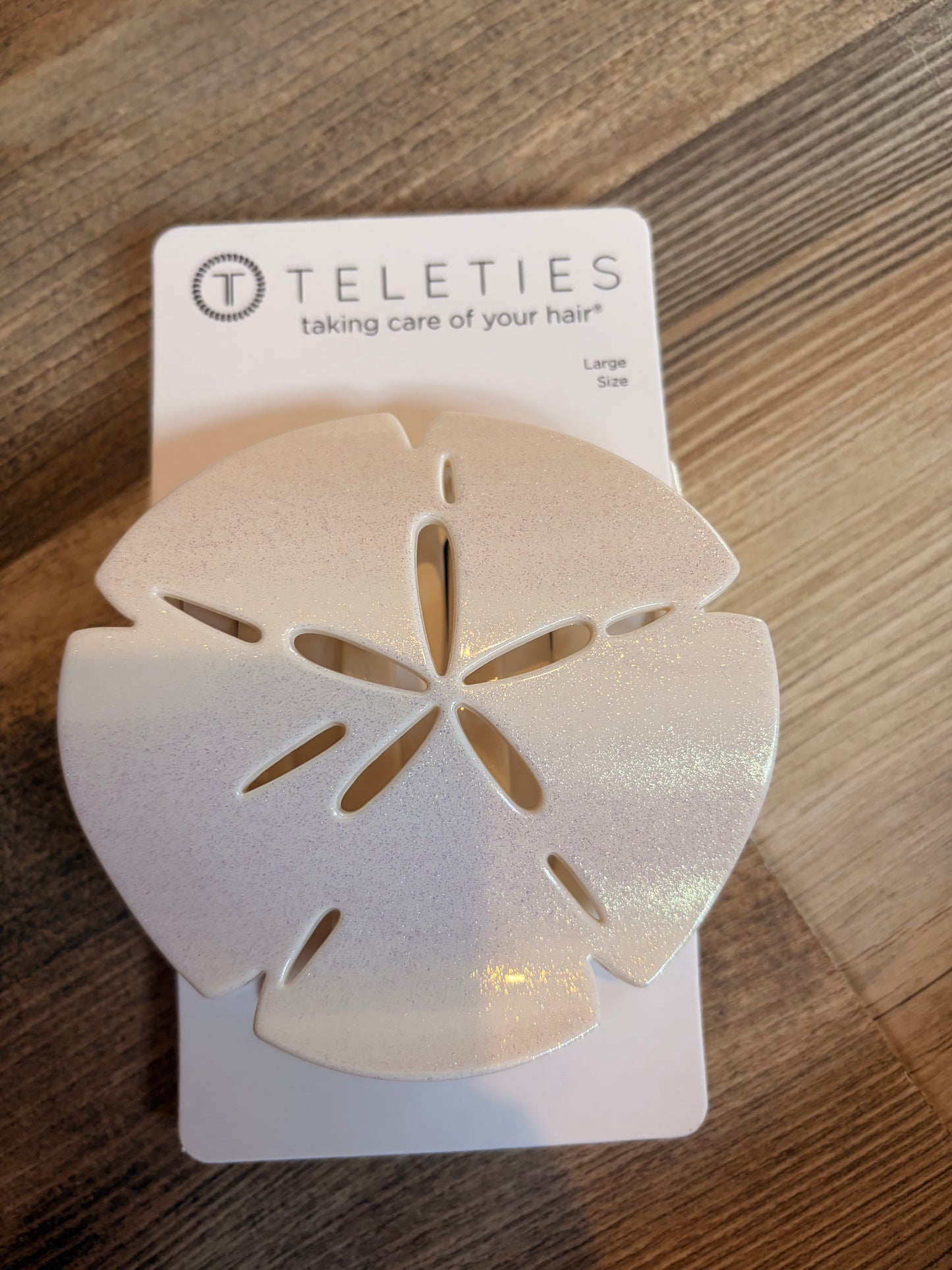 Large Flat Sand Dollar Teletie Clip